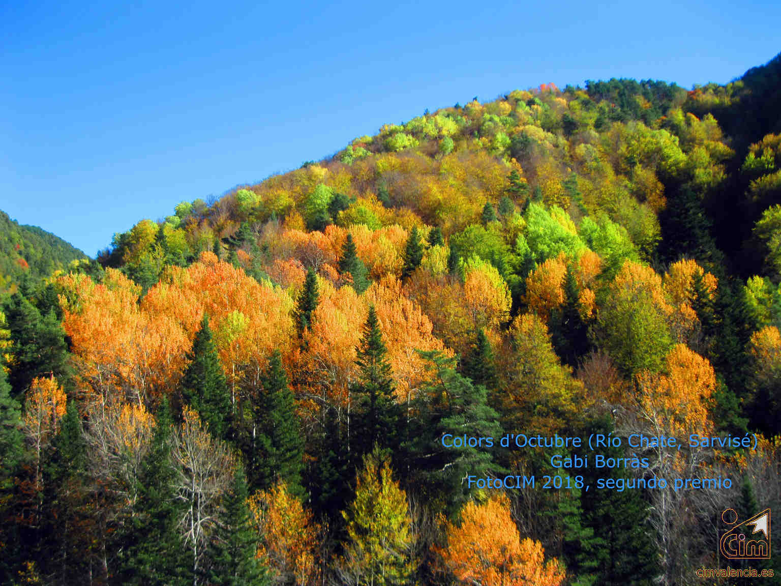 2º-Colors d'Octubre (Río Chate, Sarvisé) (Gabi Borràs)
